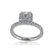 30778 b asscher side halo